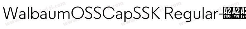 WalbaumOSSCapSSK Regular字体转换